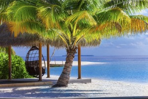 Maldives (2) 